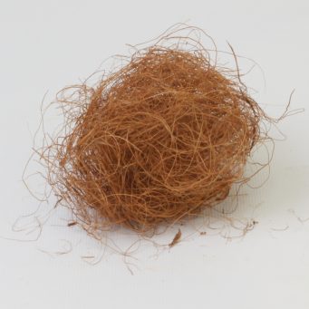 Ginger Coir