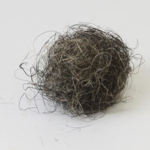 Hair & Fibre